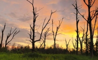 生物質能資源數(shù)據(jù)庫信息系統(tǒng) 賦能綠色能源發(fā)展的數(shù)字基石