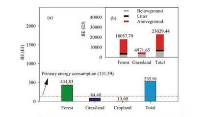 地理資源所揭示中國(guó)陸地生態(tài)系統(tǒng)生物能值時(shí)空動(dòng)態(tài)分布規(guī)律與生物質(zhì)能資源數(shù)據(jù)庫(kù)信息系統(tǒng)的構(gòu)建